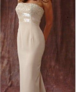 Style 2006 Strapless Evening Gowns in Light tan Color