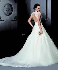 Backless Bridal Gowns