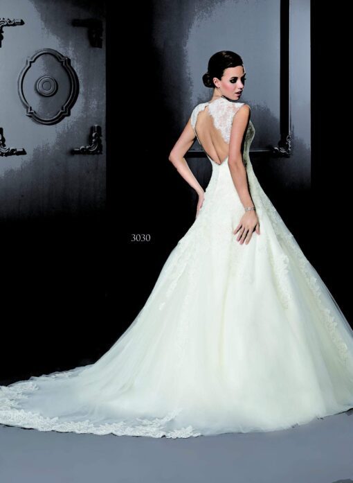 Backless Bridal Gowns