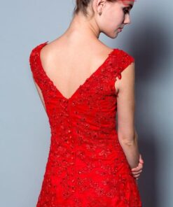 v back neck red evening gown