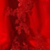 red lace wedding dresses