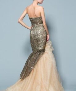 golden evening gown with net design