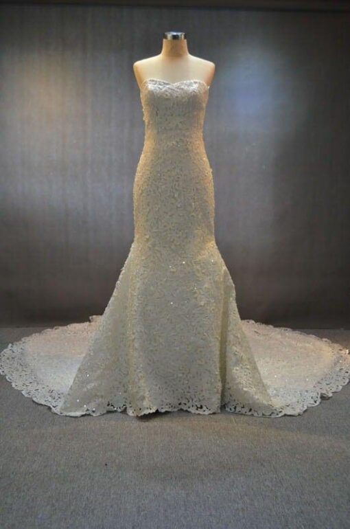 wedding gowns with alencon lace