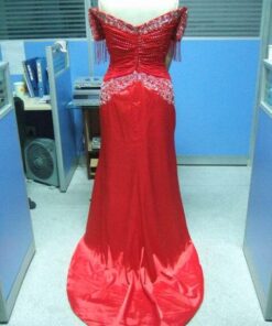 Back of plus size pageant gown