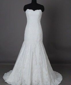 Solid Lace bridal gowns with Strapless Neckline