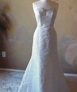 Silver Wedding Dresses at Darius Cordell