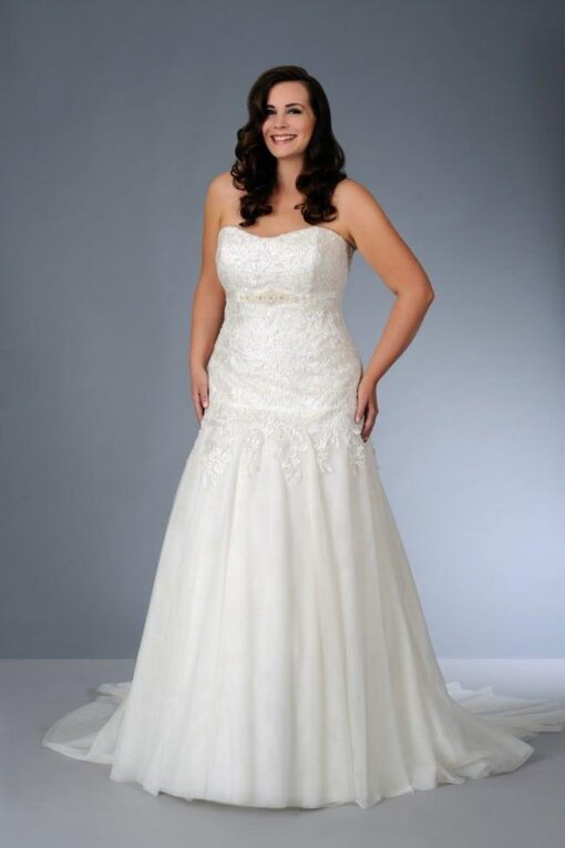 Plus Size Strapless Wedding Dresses at Darius Cordell