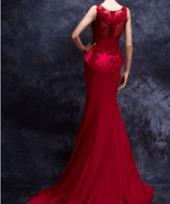 royal back embroided red gown
