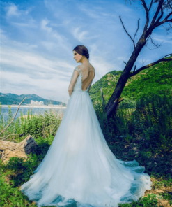 backless wedding ball gowns