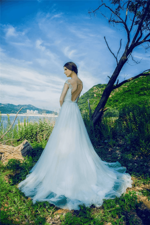 backless wedding ball gowns