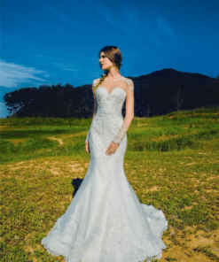 Sheer Illusion Neck line Wedding Gowns with Long Lace Sleeves