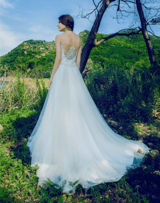 Embroidered Lace back bridal gowns