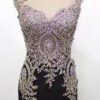 JL15001 ebmroidered lace evening gown in black