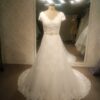 Style# ModestPlusSizeV NeckWeddingGown DariusCordell