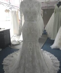 Diana Long sleeve embroidered wedding gown