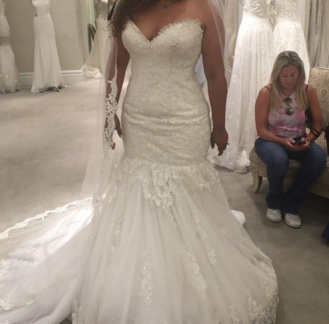 Plus size beaded lace wedding gowns from the Darius Collection