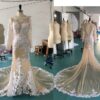 Anna Gerts Sheer long sleeve wedding dress ordered on a 3 week rush from Darius Cordell