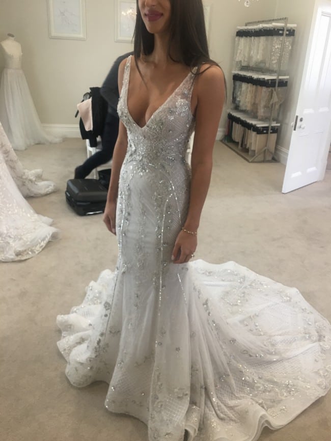 Beaded v-neck wedding gown from Darius Bridal