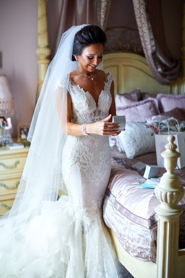 Soft lace bridal dress from the Darius Collection