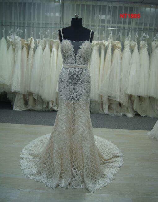 Fitted Wedding gowns