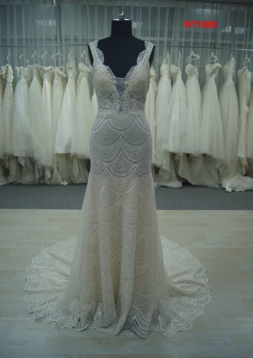 NT1808 Beaded Wedding Dresses from Darius cordell