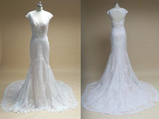 Style DW062 - Cap sleeve beaded lace wedding gowns with a v-neck line from Darius Cordell Fashion