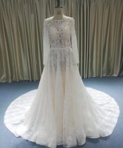 JB1202-1 long sleeve sheer wedding gown from darius cordell