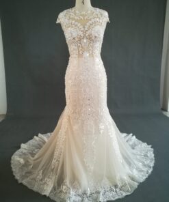 JB1235 Cap sleeve lace wedding gown with illusion bodice from darius cordell