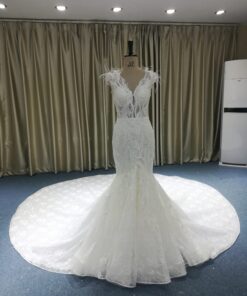 JB1238-325 Fitted wedding dresses with feathers from Darius Cordell