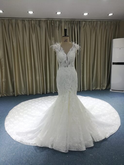 JB1238-325 Fitted wedding dresses with feathers from Darius Cordell