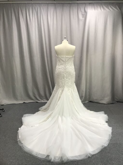 C2020-WCromwell - plus size wedding dress with train from darius cordell